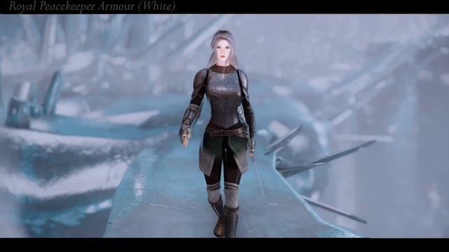 [SkyrimSE MOD] HDT-SMP Peacekeeper Armour CBBE 3BA & BHUNP