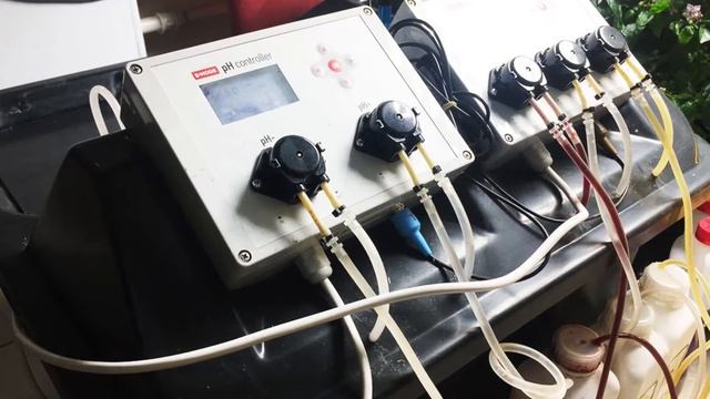 16. Растворный бак E MODE + RDWC 4 Pro система - Перцы на ВОДЕ!!! смотреть онлайн