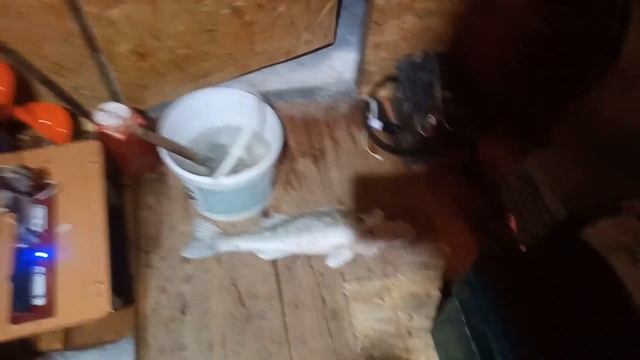 РЫБАЛКА ОБЪЕДИНЯЕТ! РОССИЯ, ГЕРМАНИЯ, КАЗАХСТАН НА ВЕРХНЕМ ТОБОЛЕ. КЛЮЁТ СУДАК, ОКУНЬ, ЧЕБАК, ЛЕЩИК смотреть онлайн