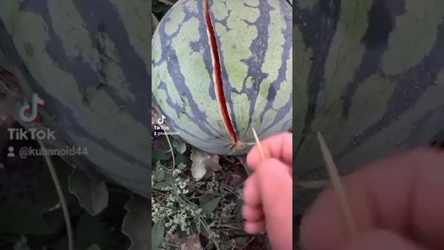 Дом на Заказ