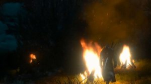 Ведьмак 3. О Рыцаре и прекрасной Даме. 4 варианта прохождения квеста. Ведьма с Рысьей горы.