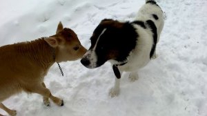 Вдвоем