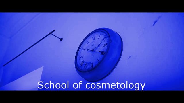 International Career School