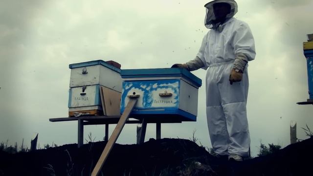 Конструктивное дополнение к улью «Видеопасека» смотреть онлайн