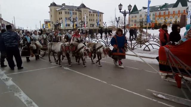 День оленевода ЯР-САЛЕ смотреть онлайн