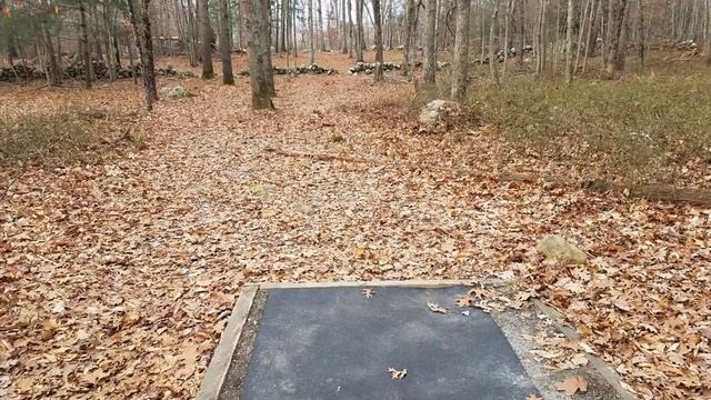 Video Logarithms | Episode 15 [DISC GOLF!!] Real life Gameplay смотреть онлайн
