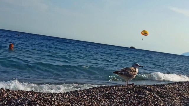КЕМЕР 🏖️ КИРИШ ПРОСТОРНЫЙ ПЛЯЖ 🏝️ 26 градусов ТЕМПЕРАТУРА воды в МОРЕ смотреть онлайн