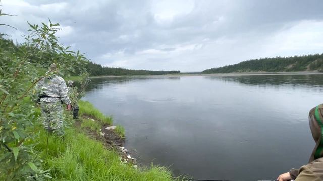TAIMEN ON GRAYLING / ТАЙМЕНЬ НА ЖИВЦА смотреть онлайн