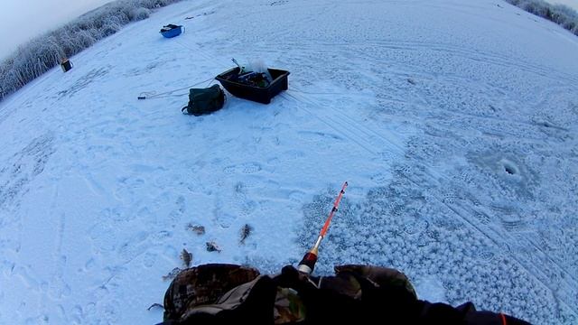 Ловля окуня зимой 2022. Зимняя рыбалка на окуня.
