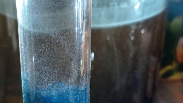 Как кормить мальков данио гло Чем кормить мальков данио гло Кормление малька инфузорией смотреть онлайн