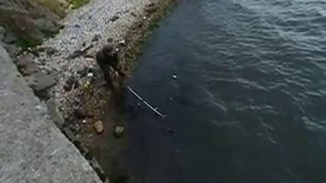 Ловля карпа на водохранилище Печорской ГРЭС смотреть онлайн