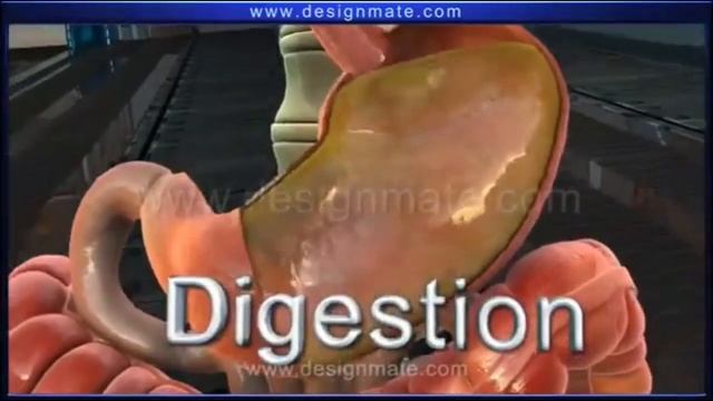 ПОЧЕМУ ВОНЯЕТ ГОВНО ? ? смотреть онлайн