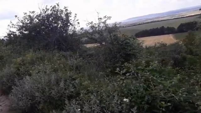 Сбор травяного чая из лекарственных трав Крыма смотреть онлайн