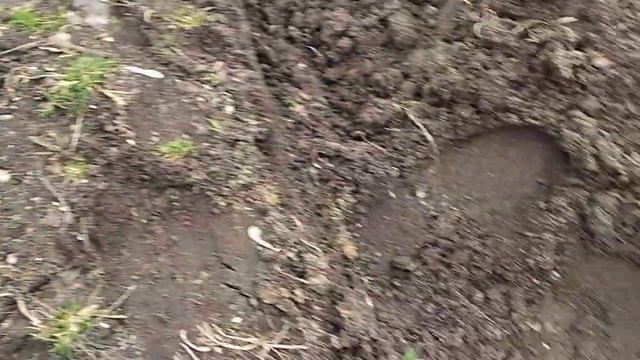 Посадка лука севка / Лук и морковь не разлучные друзья. смотреть онлайн