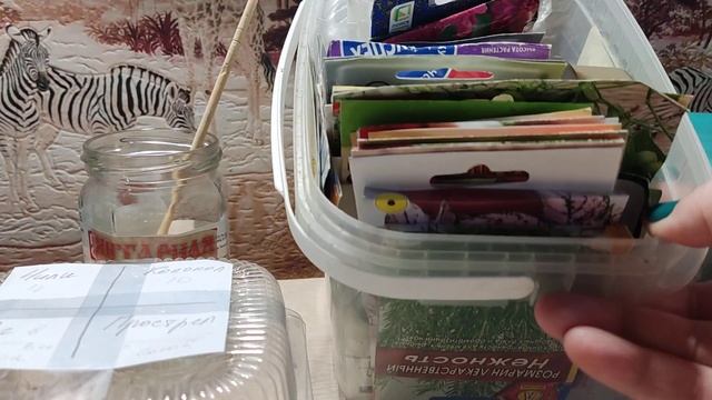 Посев перца на рассаду - маленькие хитрости. смотреть онлайн
