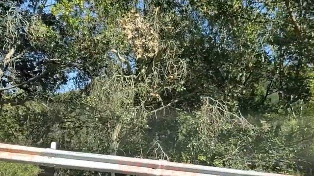 Driving twisty roads in my Lotus Elise #34 смотреть онлайн