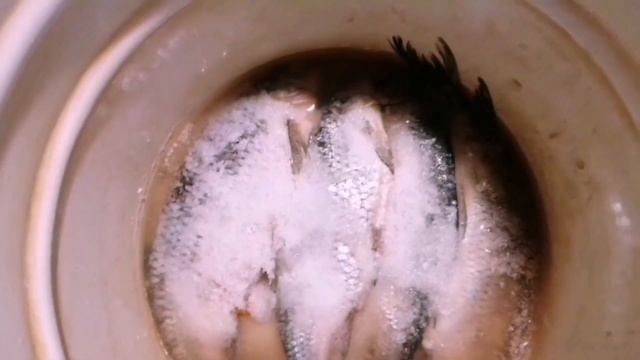 Таранка зимой! Как солить и сушить рыбу смотреть онлайн