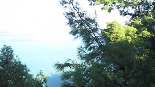 Таверна Диос, Калифея, Халкидики (04.10.15) смотреть онлайн