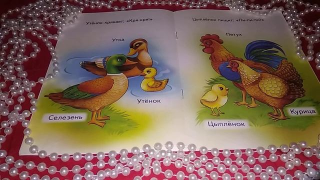 Учим животных.Мамы, папы, малыши. смотреть онлайн