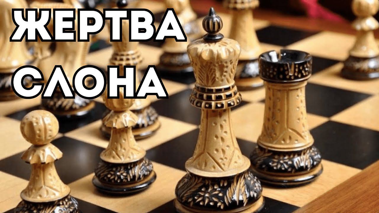 Красивая ЖЕРТВА СЛОНА и быстрая победа! Шахматная ЛОВУШКА смотреть онлайн