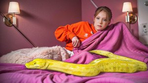 Гигантская ЗМЕЯ в Моей СПАЛЬНЕ!