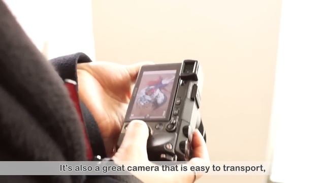 Sony Alpha NEX-7 Review (illustrator's view) смотреть онлайн