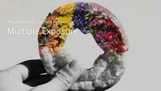 Sony Alpha 5000 смотреть онлайн