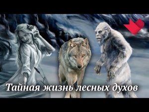 Какие лесные духи существуют | Раскрывая мистические тайны