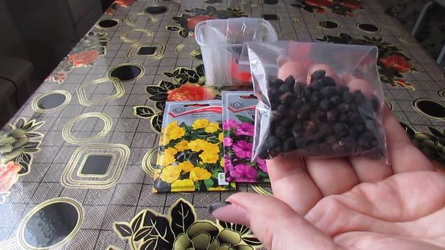 МИРАБИЛИС!!! Обзор новых расцветок и семян!