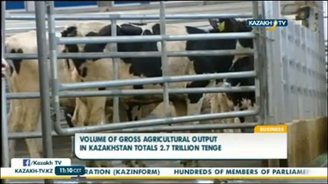 Объем валовой продукции в сельском хозяйстве РК составил 2,7 трлн тенге - KazakhTV смотреть онлайн