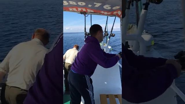 Ловим судака в Карелии на Онежском озере. смотреть онлайн