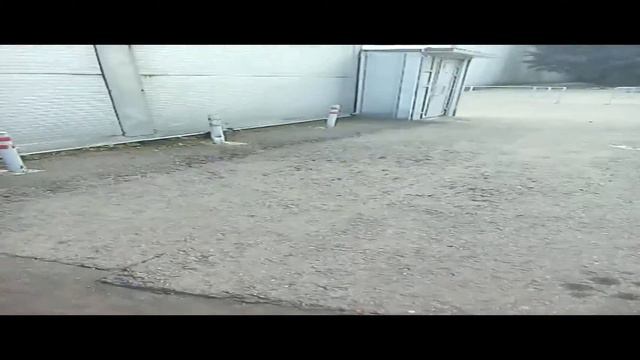 Ручная ворона в парке Сокольники (2 часть) смотреть онлайн