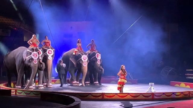 The Shrine Circus - Fort Worth Convention Center - Elephant Act смотреть онлайн