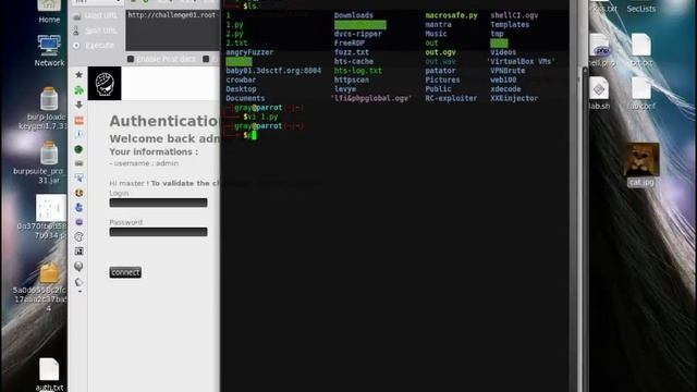 Пример SQLiExploit написаный на Python смотреть онлайн