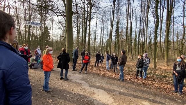 23.2.21 Teil 1 Waldspaziergang im #SteinhausenerWald in Halle/Westfalen смотреть онлайн