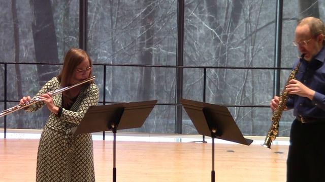 Lili Tobias: Stars Zone, for flute and soprano saxophone смотреть онлайн