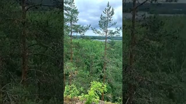 Их называют «места силы» смотреть онлайн