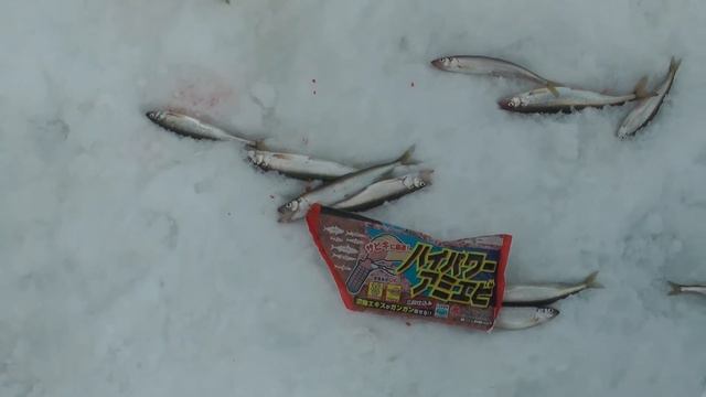 Зимняя рыбалка, Владивосток-Сахалин 2015. смотреть онлайн