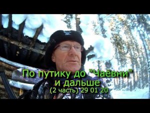 По путику до Чаёвни и дальше (2часть) 29 01 20