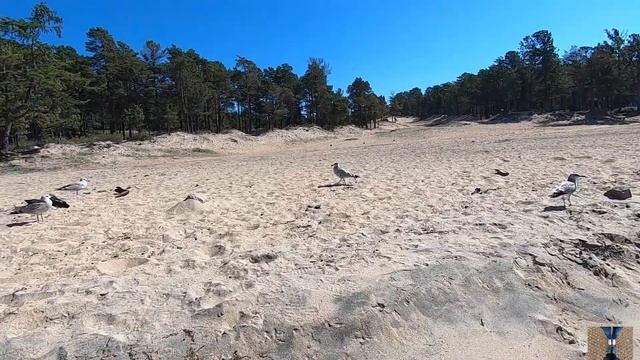 Горячинск Берег Байкала смотреть онлайн