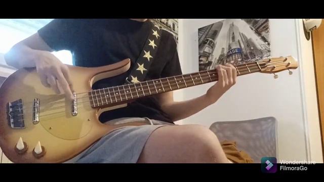 La Camisa Negra - Bass Cover смотреть онлайн