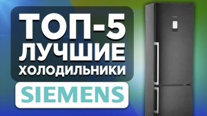 ТОП-4. Лучшие холодильники Siemens. Рейтинг
