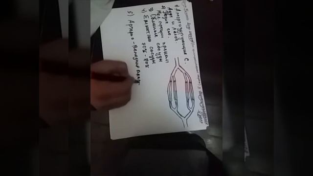 Виды сосудов и Микроциркуляторное Русло(Нормальная Физиология) смотреть онлайн