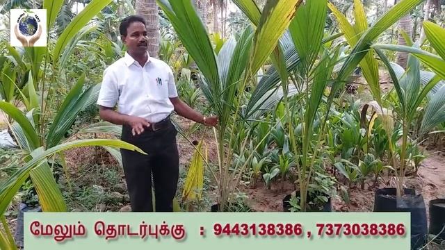 012 : தென்னை நடவு செய்யும் முறை... смотреть онлайн
