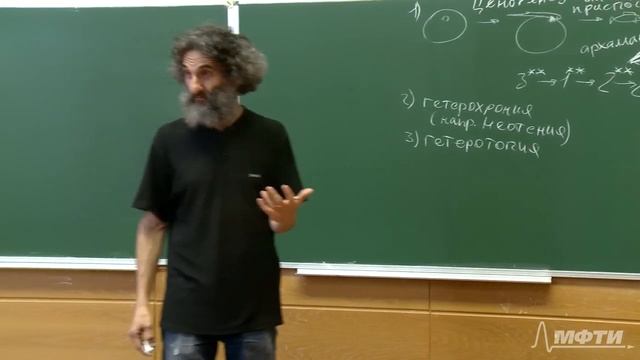 Лекция 11. Многоклеточные животные. Часть 2. Филогенез и эмбриогенез. Окштейн И.Л., МФТИ смотреть онлайн