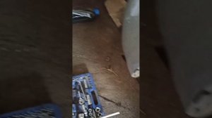 Замена сальника привода КПП Чери Фора