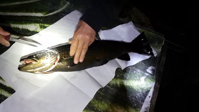 РЫБАЛКА. ТИКШОЗЕРО, КАРЕЛИЯ