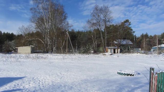 2020 Високосный год. 