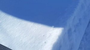 Протестировал буксировщик ФОРЗА 7л.с. по снегу с волокушей.