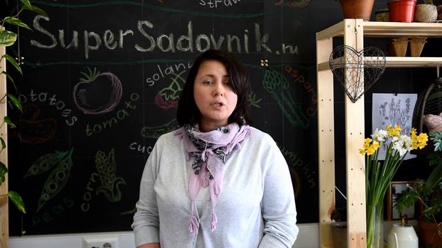 Колорадский жук на картофеле: что делать? смотреть онлайн